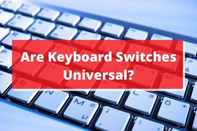 Are Keyboard Switches Universal?